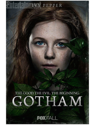 Illustration for article titled New Gotham Posters Are Great Except For Poison Ivy's Terrible New Name